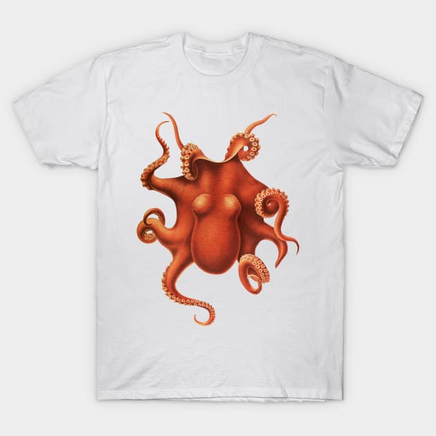 Red Octopus T-Shirt by Wright Art